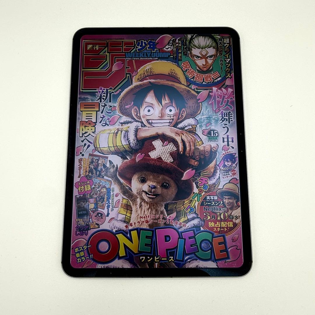 iPad Pro 11インチ M4 セルラー 2TB nano-texture