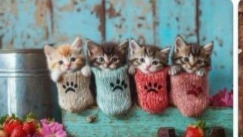 靴下に入ったねこパネル生地　ハンドメイド