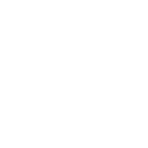 HTML/CSS/JS